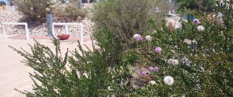 Caravan Sites (unpowered)