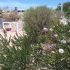 Caravan Sites (unpowered)